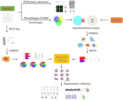 Network pharmacology and experimental verification reveal the mechanism of safranal against glioblastoma (GBM)